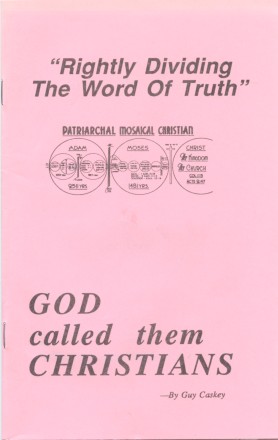Rightly Dividing the Word of Truth - cover(22K)